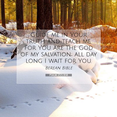 Picture 07 - Psalm 25:5 BSB - Guide me in Your truth and teach me, for You are - Bible Verse Picture