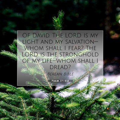 Picture 07 - Psalm 27:1 BSB - Of David. The LORD is my light and my - Bible Verse Picture