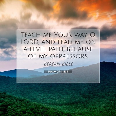 Picture 07 - Psalm 27:11 BSB - Teach me Your way, O LORD, and lead me on a level - Bible Verse Picture