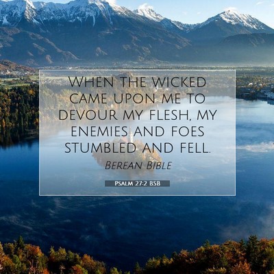 Picture 07 - Psalm 27:2 BSB - When the wicked came upon me to devour my flesh, - Bible Verse Picture