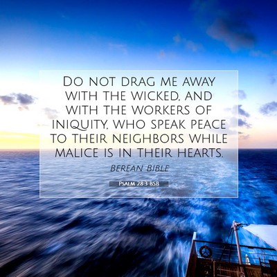 Picture 07 - Psalm 28:3 BSB - Do not drag me away with the wicked, and with the - Bible Verse Picture