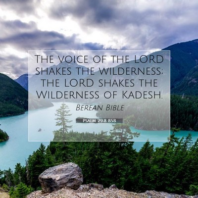 Picture 07 - Psalm 29:8 BSB - The voice of the LORD shakes the wilderness; the - Bible Verse Picture