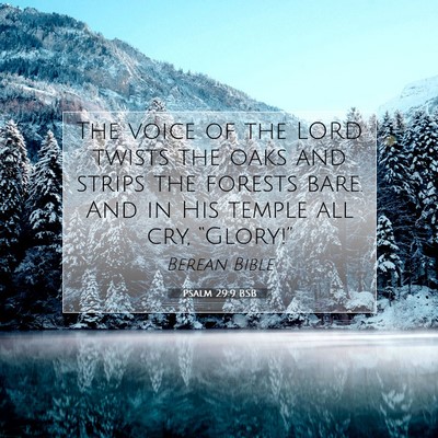 Picture 07 - Psalm 29:9 BSB - The voice of the LORD twists the oaks and strips - Bible Verse Picture