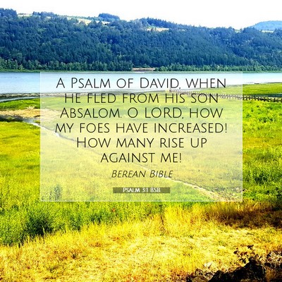 Picture 07 - Psalm 3:1 BSB - A Psalm of David, when he fled from his son - Bible Verse Picture
