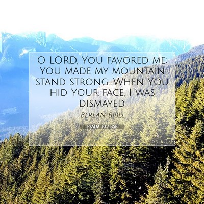 Picture 07 - Psalm 30:7 BSB - O LORD, You favored me; You made my mountain - Bible Verse Picture