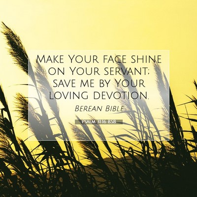 Picture 07 - Psalm 31:16 BSB - Make Your face shine on Your servant; save me by - Bible Verse Picture