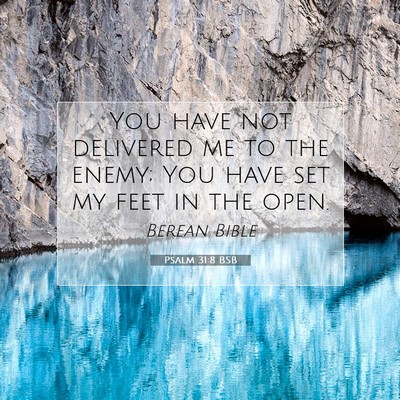Picture 07 - Psalm 31:8 BSB - You have not delivered me to the enemy; You have - Bible Verse Picture