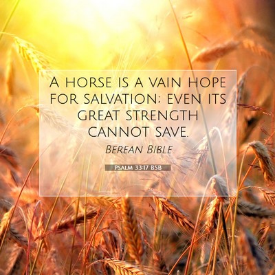 Picture 07 - Psalm 33:17 BSB - A horse is a vain hope for salvation; even its - Bible Verse Picture