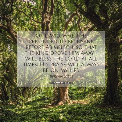 Picture 07 - Psalm 34:1 BSB - Of David, when he pretended to be insane before - Bible Verse Picture
