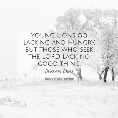 Picture 07 - Psalm 34:10 BSB - Young lions go lacking and hungry, but those who - Bible Verse Picture