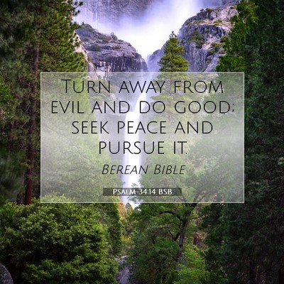 Picture 07 - Psalm 34:14 BSB - Turn away from evil and do good; seek peace and - Bible Verse Picture