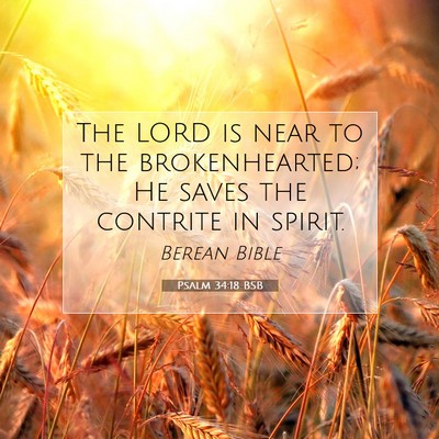 Picture 07 - Psalm 34:18 BSB - The LORD is near to the brokenhearted; He saves - Bible Verse Picture