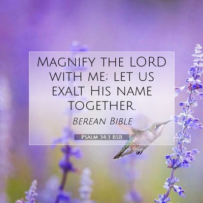 Picture 07 - Psalm 34:3 BSB - Magnify the LORD with me; let us exalt His name - Bible Verse Picture