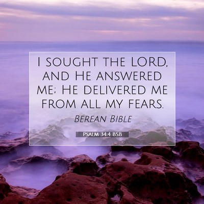 Picture 07 - Psalm 34:4 BSB - I sought the LORD, and He answered me; He - Bible Verse Picture