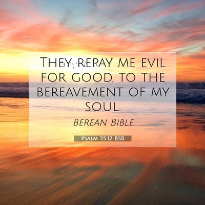 Picture 07 - Psalm 35:12 BSB - They repay me evil for good, to the bereavement - Bible Verse Picture