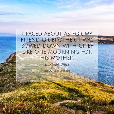 Picture 07 - Psalm 35:14 BSB - I paced about as for my friend or brother; I was - Bible Verse Picture