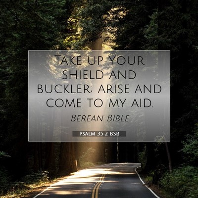 Picture 07 - Psalm 35:2 BSB - Take up Your shield and buckler; arise and come - Bible Verse Picture