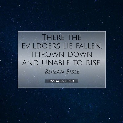Picture 07 - Psalm 36:12 BSB - There the evildoers lie fallen, thrown down and - Bible Verse Picture