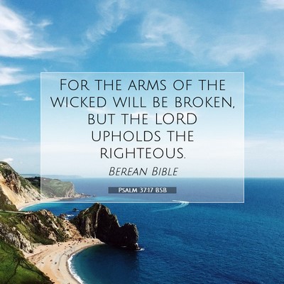 Picture 07 - Psalm 37:17 BSB - For the arms of the wicked will be broken, but - Bible Verse Picture