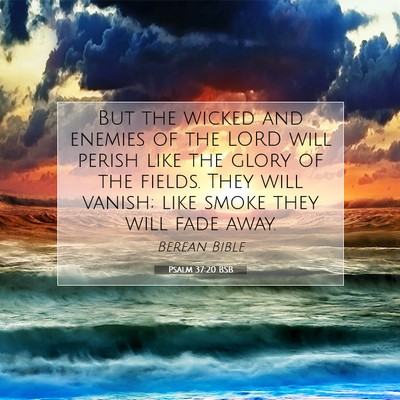 Picture 07 - Psalm 37:20 BSB - But the wicked and enemies of the LORD will - Bible Verse Picture