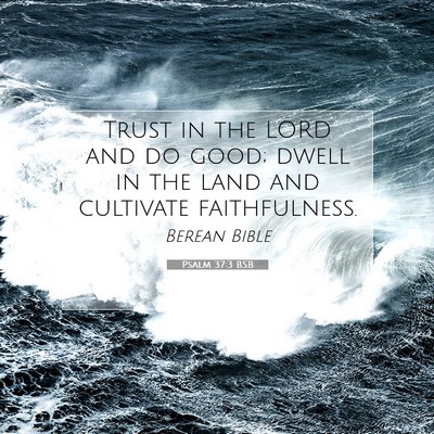 Picture 07 - Psalm 37:3 BSB - Trust in the LORD and do good; dwell in the land - Bible Verse Picture
