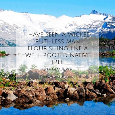 Picture 07 - Psalm 37:35 BSB - I have seen a wicked, ruthless man flourishing - Bible Verse Picture