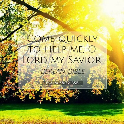 Picture 07 - Psalm 38:22 BSB - Come quickly to help me, O Lord my - Bible Verse Picture
