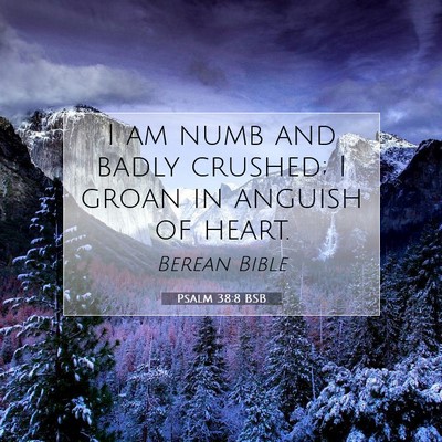 Picture 07 - Psalm 38:8 BSB - I am numb and badly crushed; I groan in anguish - Bible Verse Picture