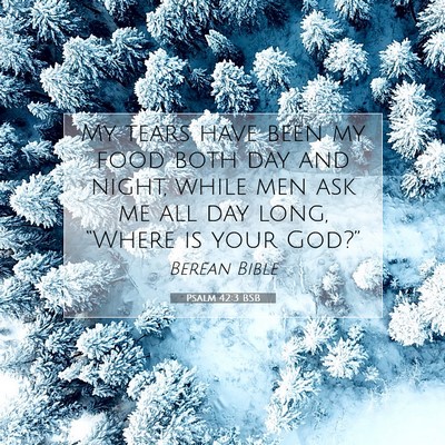Picture 07 - Psalm 42:3 BSB - My tears have been my food both day and night, - Bible Verse Picture