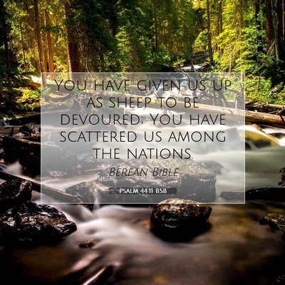 Picture 07 - Psalm 44:11 BSB - You have given us up as sheep to be devoured; You - Bible Verse Picture