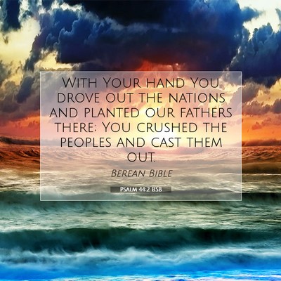 Picture 07 - Psalm 44:2 BSB - With Your hand You drove out the nations and - Bible Verse Picture