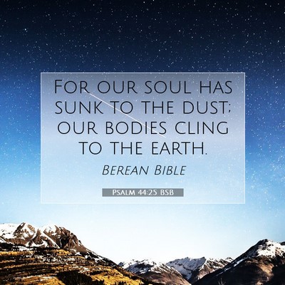 Picture 07 - Psalm 44:25 BSB - For our soul has sunk to the dust; our bodies - Bible Verse Picture