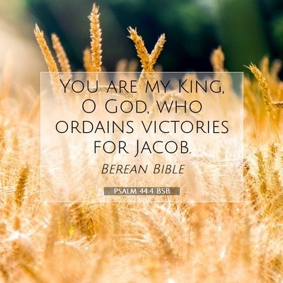 Picture 07 - Psalm 44:4 BSB - You are my King, O God, who ordains victories for - Bible Verse Picture