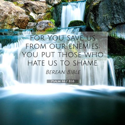 Picture 07 - Psalm 44:7 BSB - For You save us from our enemies; You put those - Bible Verse Picture