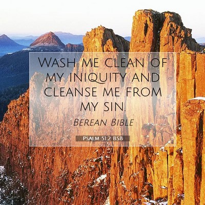 Picture 07 - Psalm 51:2 BSB - Wash me clean of my iniquity and cleanse me from - Bible Verse Picture