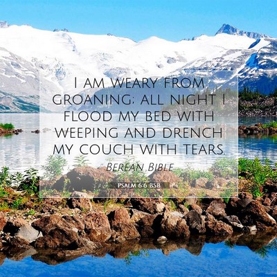 Picture 07 - Psalm 6:6 BSB - I am weary from groaning; all night I flood my - Bible Verse Picture