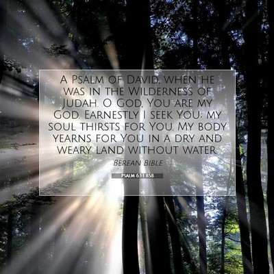 Picture 07 - Psalm 63:1 BSB - A Psalm of David, when he was in the Wilderness - Bible Verse Picture