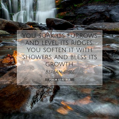 Picture 07 - Psalm 65:10 BSB - You soak its furrows and level its ridges; You - Bible Verse Picture