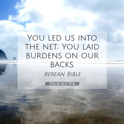 Picture 07 - Psalm 66:11 BSB - You led us into the net; You laid burdens on our - Bible Verse Picture