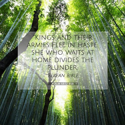 Picture 07 - Psalm 68:12 BSB - “Kings and their armies flee in haste; she who - Bible Verse Picture