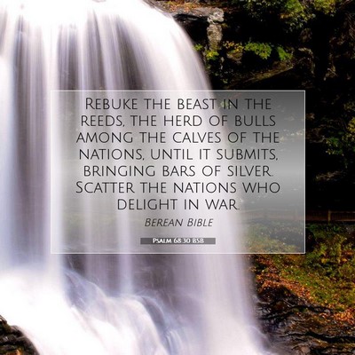 Picture 07 - Psalm 68:30 BSB - Rebuke the beast in the reeds, the herd of bulls - Bible Verse Picture