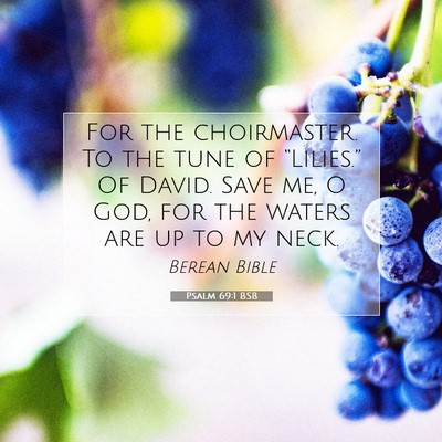 Picture 07 - Psalm 69:1 BSB - For the choirmaster. To the tune of “Lilies.” - Bible Verse Picture