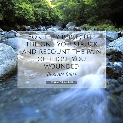 Picture 07 - Psalm 69:26 BSB - For they persecute the one You struck and recount - Bible Verse Picture
