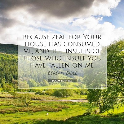 Picture 07 - Psalm 69:9 BSB - because zeal for Your house has consumed me, and - Bible Verse Picture