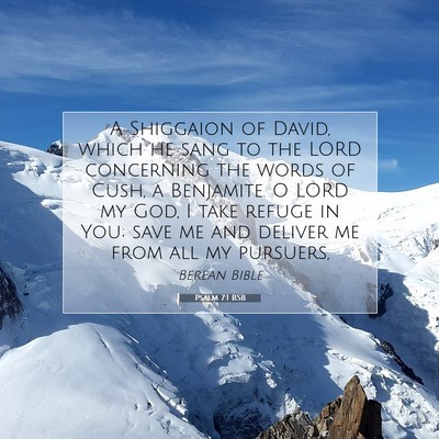Picture 07 - Psalm 7:1 BSB - A Shiggaion of David, which he sang to the LORD - Bible Verse Picture