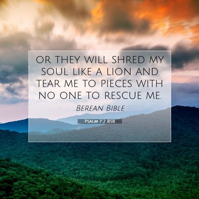 Picture 07 - Psalm 7:2 BSB - or they will shred my soul like a lion and tear - Bible Verse Picture