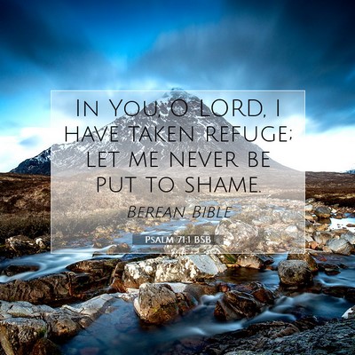 Picture 07 - Psalm 71:1 BSB - In You, O LORD, I have taken refuge; let me never - Bible Verse Picture