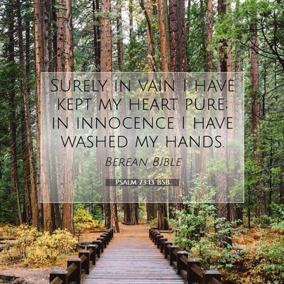 Picture 07 - Psalm 73:13 BSB - Surely in vain I have kept my heart pure; in - Bible Verse Picture