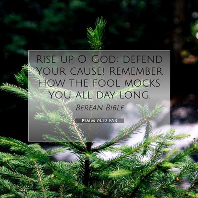Picture 07 - Psalm 74:22 BSB - Rise up, O God; defend Your cause! Remember how - Bible Verse Picture
