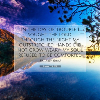 Picture 07 - Psalm 77:2 BSB - In the day of trouble I sought the Lord; through - Bible Verse Picture